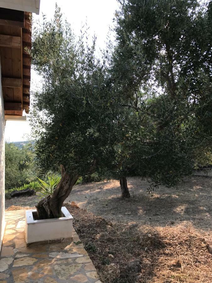 Holiday home Olive Garden *