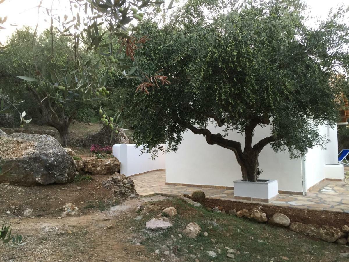 Holiday home Olive Garden Kyparissia