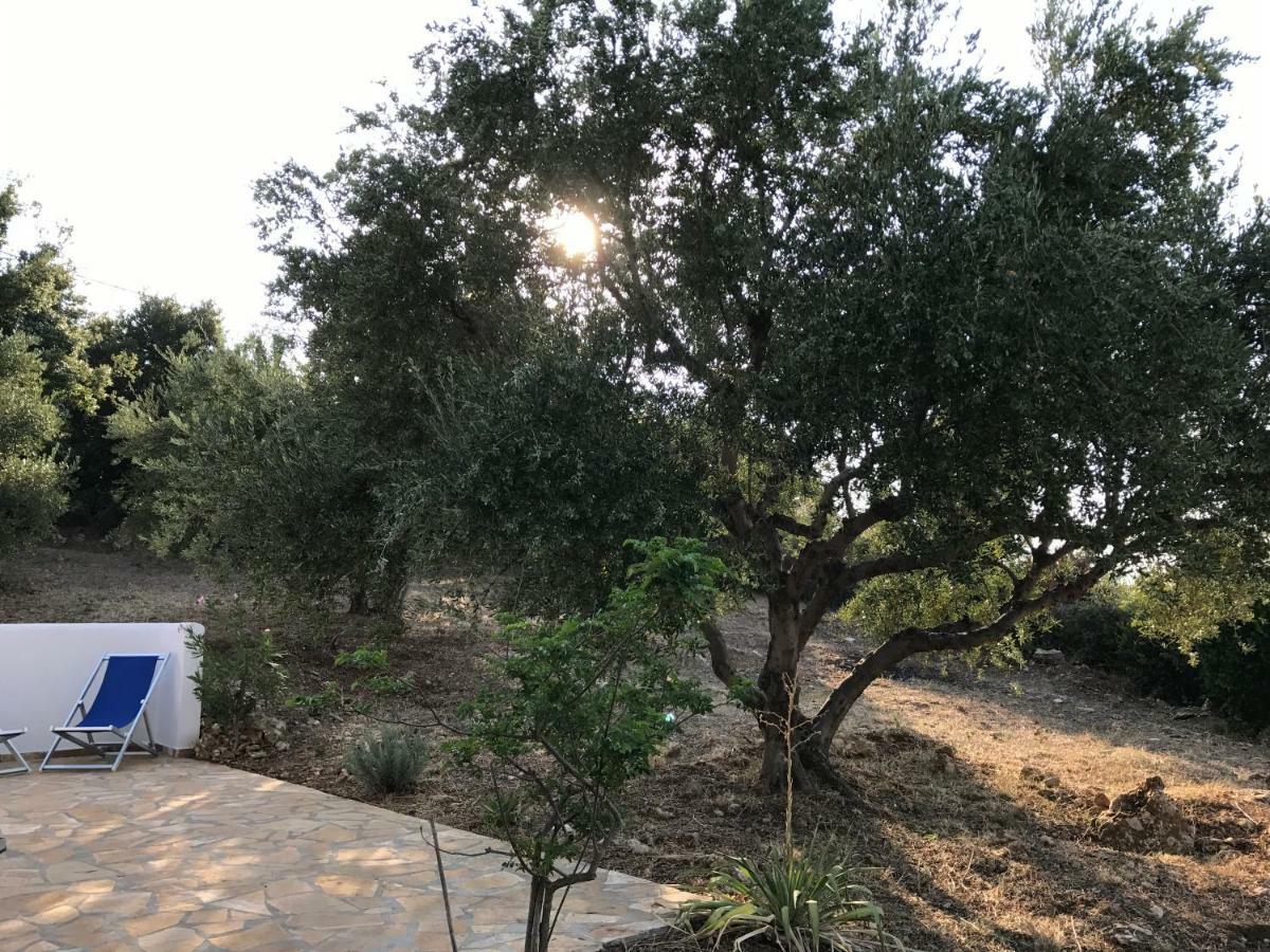 Holiday home Olive Garden
