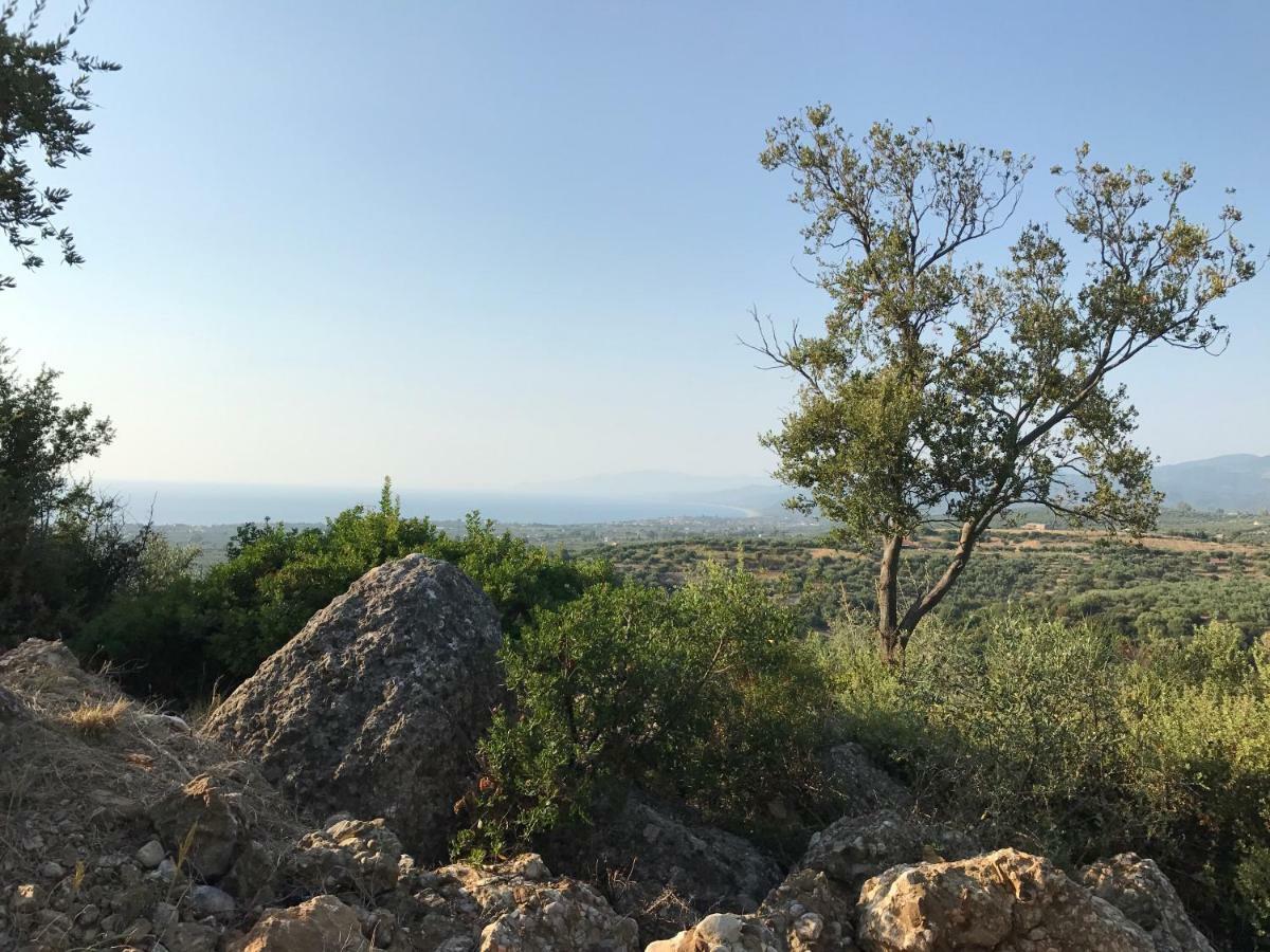 Olive Garden Kyparissia